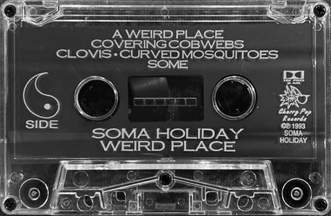 Soma-Holiday-Weird-Place-yin
